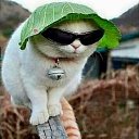 ���� ����������, ��������� - ��������� 13 ������ 2023 � ������ ���� ����������