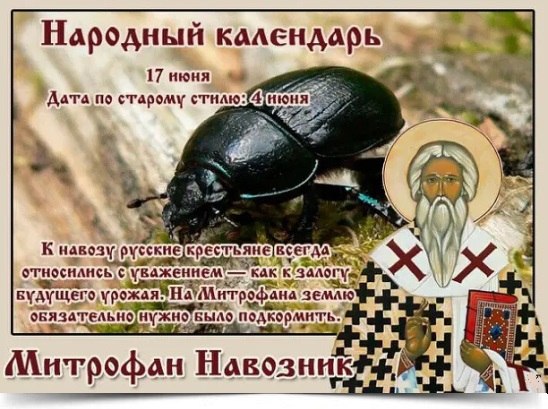 17 июня — Митрофан Навозник. —————————————— Дата по старому стилю: 4 июня. В народе подмечали, что к ...