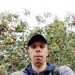 ���� ����, ������ ��������, 43 ���� - ��������� 19 �������� 2023