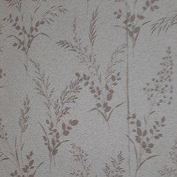 ���� ������, ��������, 39 ��� - ��������� 10 ���� 2023