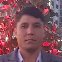 ���, ������, 37 ���