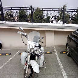 ����, ������������, 36 ���