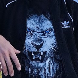 �����, ������, 37 ���