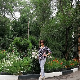 �������, �������, 66 ���