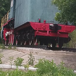 �������, �����-���������, 41 ���