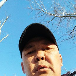 ���, �������, 46 ���