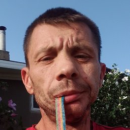 ����, �������, 44 ����