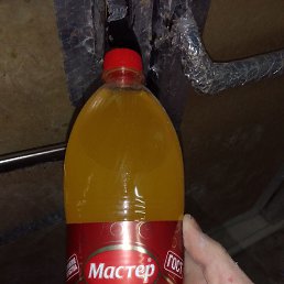 ���� �������, �����-���������, 28 ��� - ��������� 7 ���� 2023