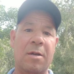 �����, �������, 55 ���