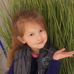 ��������, ���, 43 ����