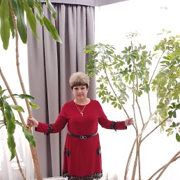 ���� ����, ������-��-����, 63 ���� - ��������� 31 ����� 2023