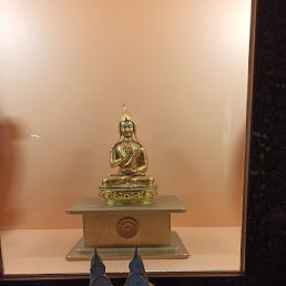 ����, ���������, 41 ���