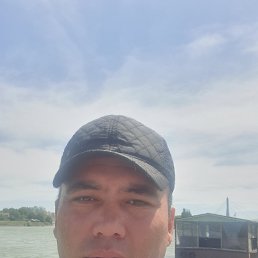 ���� ������, ���������, 43 ���� - ��������� 4 ���� 2023