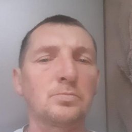 ����, �����-���������, 51 ���