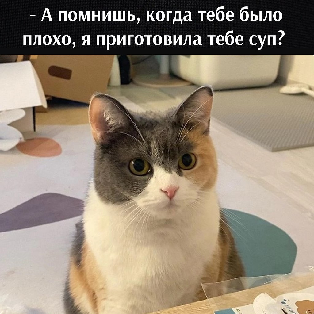       - 2  2023  13:11