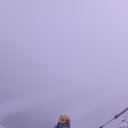  , , 32  -  28  2023    