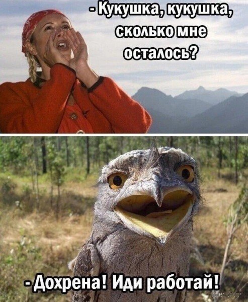 )))))))))))))))