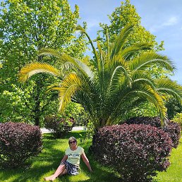 ��������, ������, 64 ����