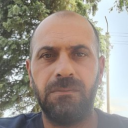 �����, ������, 44 ����