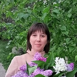 �������, �������, 40 ���