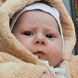 ������, ����������, 59 ���