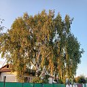 ���� ����, ����������, 48 ��� - ��������� 30 �������� 2023