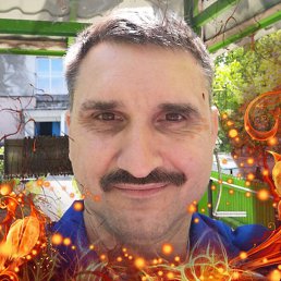 ������, �������, 46 ���