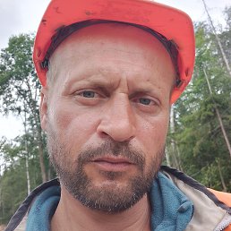 ������, ������, 38 ���