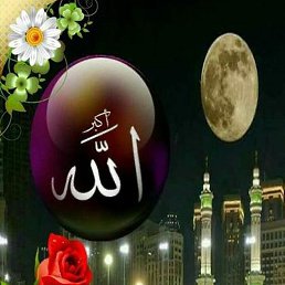 ���� �����, ���������, 43 ���� - ��������� 10 ����� 2023