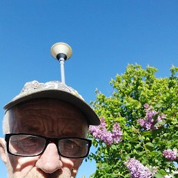 �������, �����, 74 ����