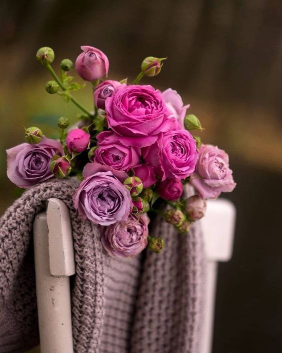  ,            ?     ...