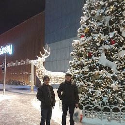 �����, ������, 44 ����