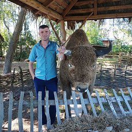 �����, ������, 36 ���