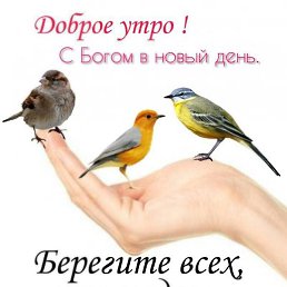 ������, ������, 56 ���