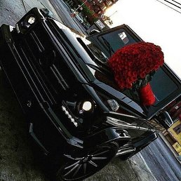 �����, ������, 41 ���