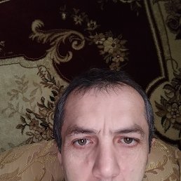 , 46 , 