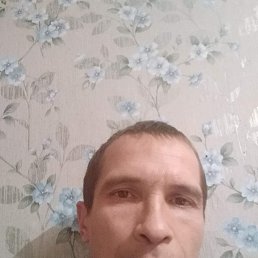 , 41, 