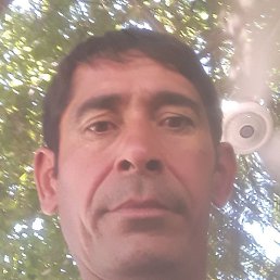 ������, �����, 48 ���