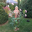  , --, 57  -  6  2023     2023