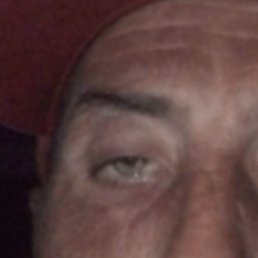 �������. ���������, �����������, 46 ���