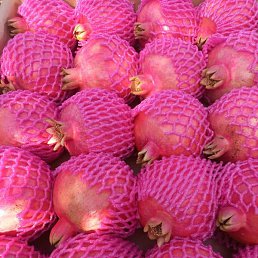 ������, ������, 42 ����