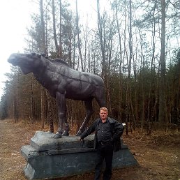 ������, ������, 50 ���