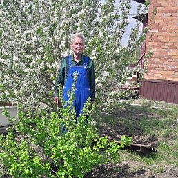 ��������, ������, 87 ���