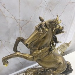 ���� ����, ������, 48 ��� - ��������� 20 ����� 2023