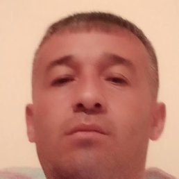 ����, �����, 37 ���