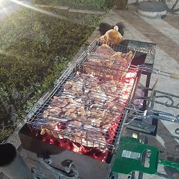 Vadik, ���������� �����, 37 ���