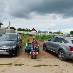 ����, ������, 43 ����