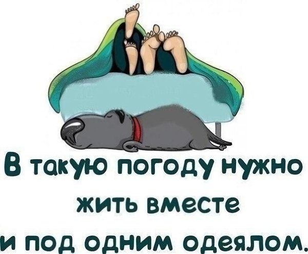 ������� ���� ���������� - 8 ������ 2023 � 00:50