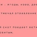 ���� �����, �����-���������, 67 ��� - ��������� 16 ������� 2023