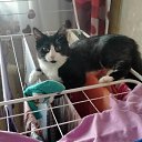 ���� �������, ������, 46 ��� - ��������� 2 ��� 2023 � ������ ���� ����������